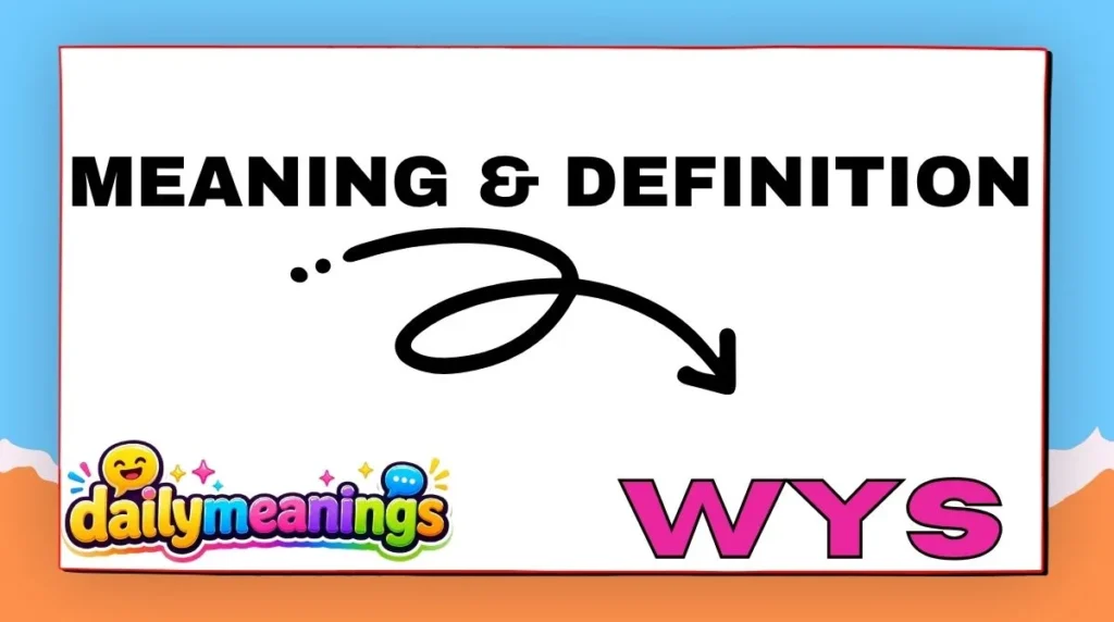 Meaning & Definition of WYS