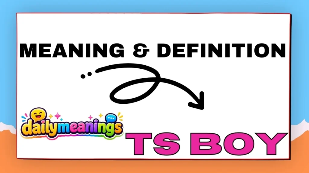 TS Boy Meaning & Definition