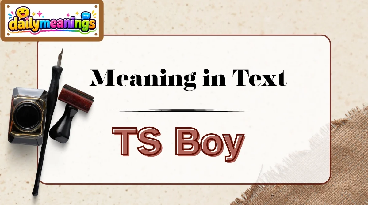 TS Boy Text Meaning