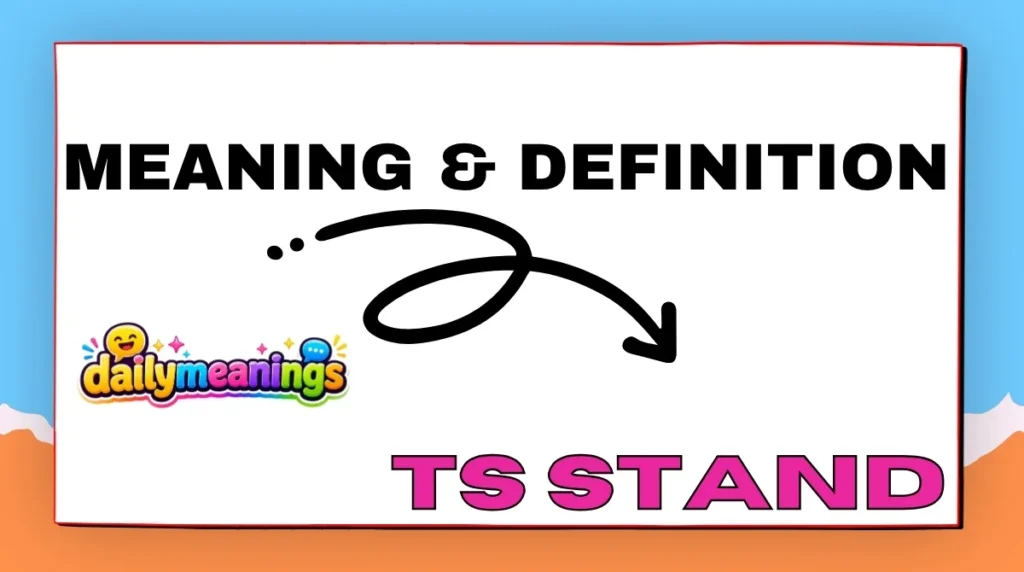 TS Stand Meaning & Definition