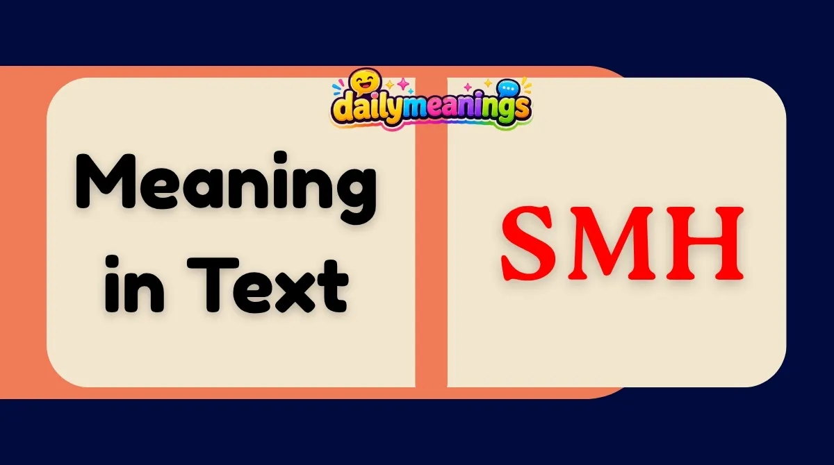 SMH Meaning Slang